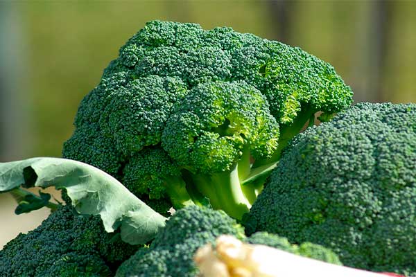 vitamina-c-en-el-brocoli-verdura